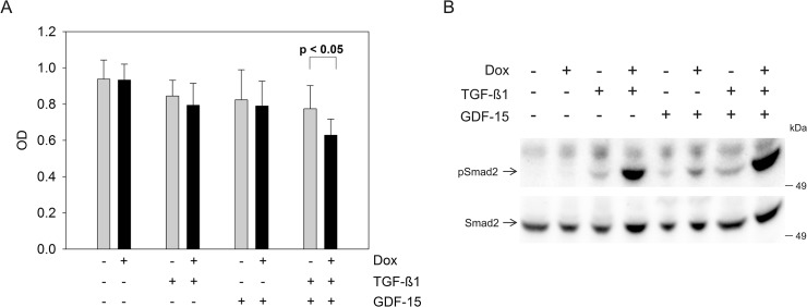 Reconstitution of TGFBR2-Mediated Signaling Causes Upregulation of GDF ...