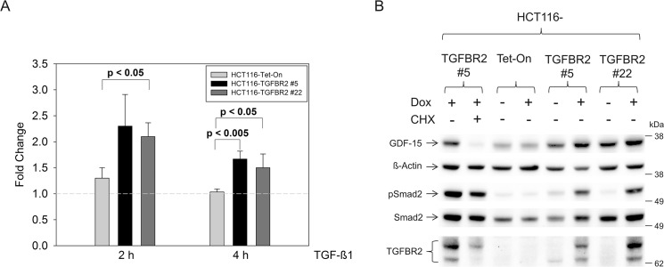 Reconstitution of TGFBR2-Mediated Signaling Causes Upregulation of GDF ...