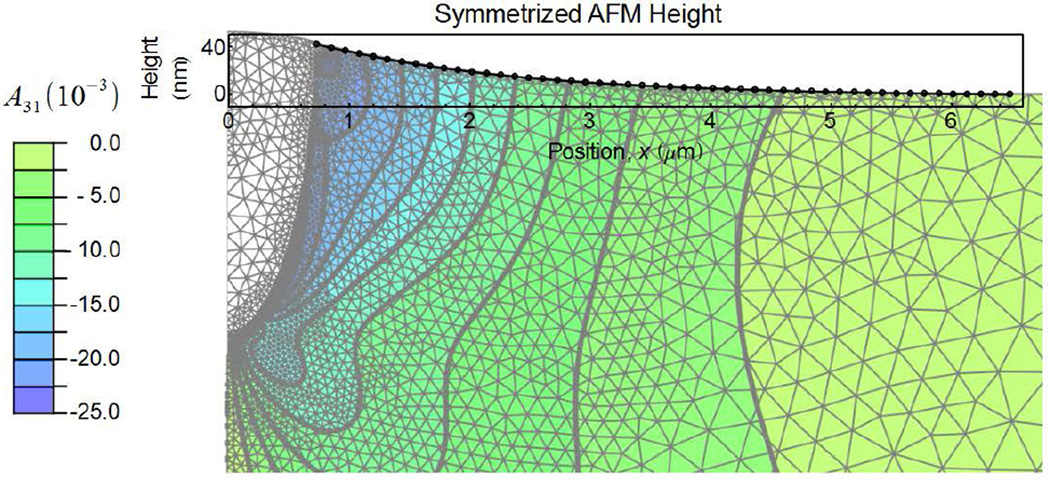 Fig. 6