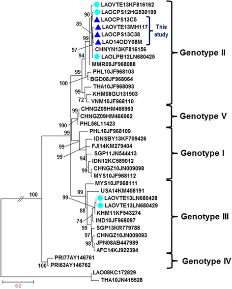 Fig. 3