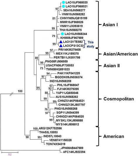 Fig. 2