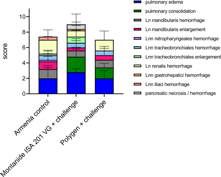 Figure 6