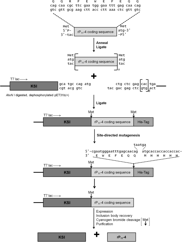 Fig. 2