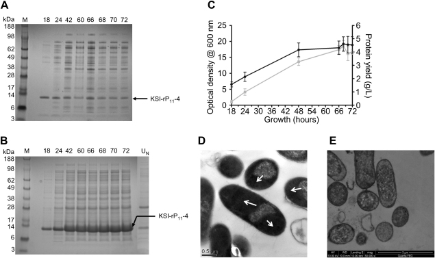 Fig. 3