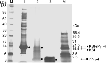 Fig. 4