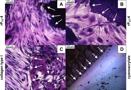 Fig. 8