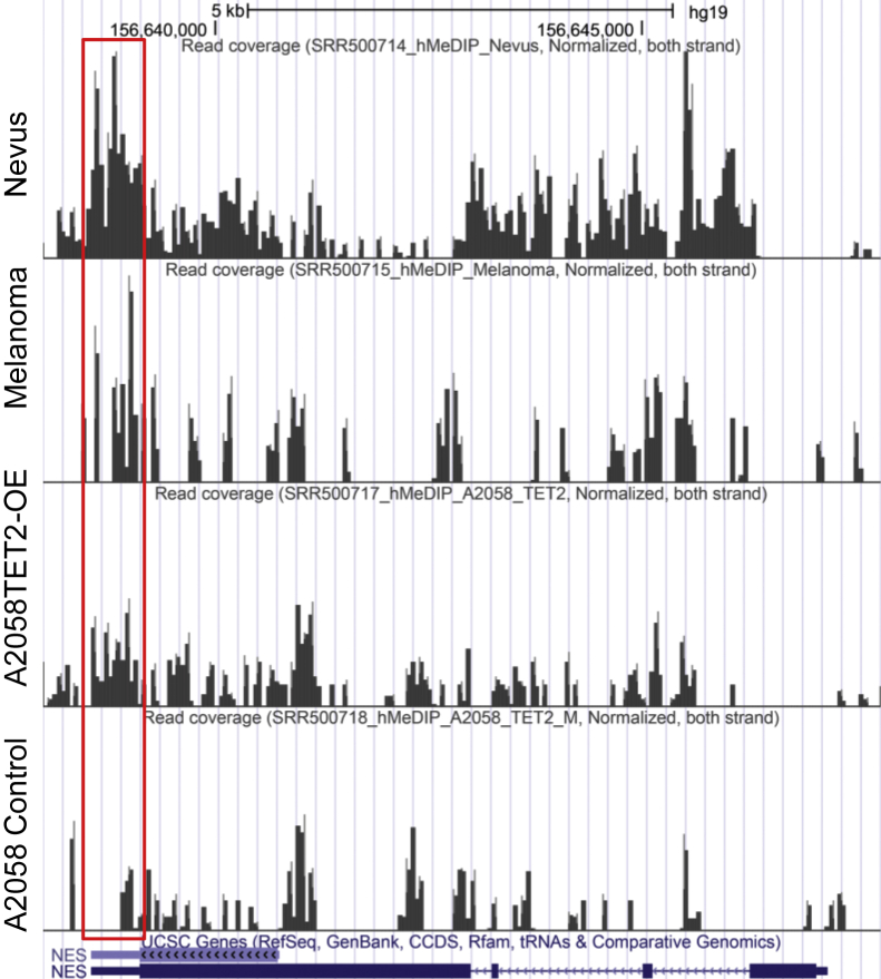 Figure 3