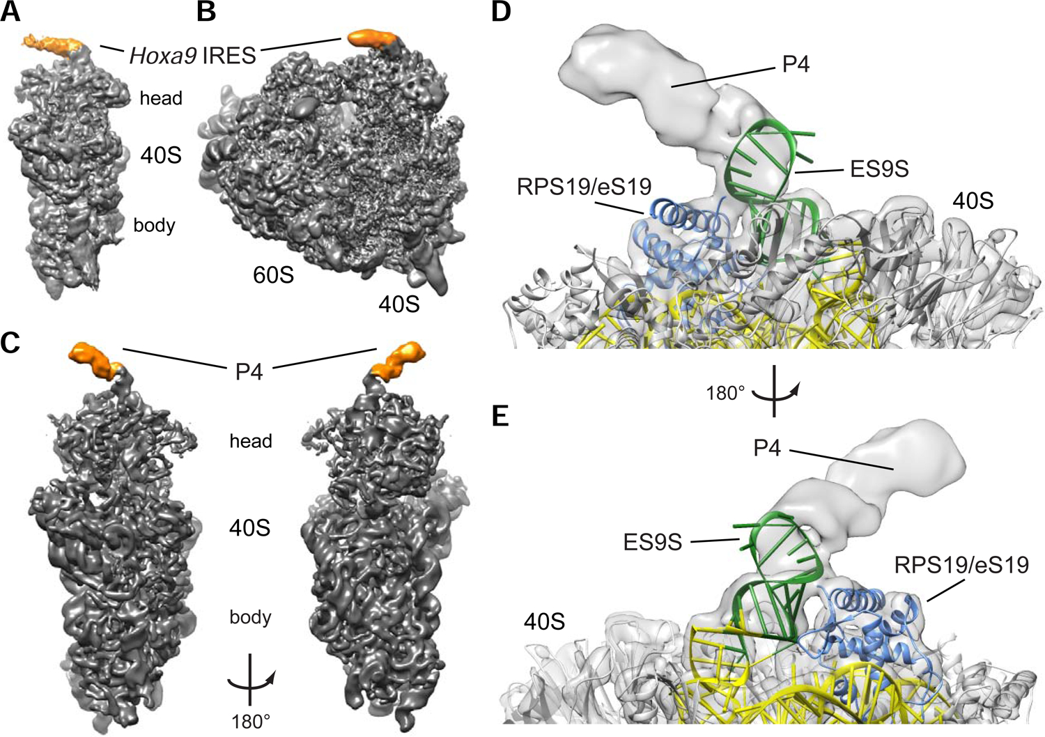 Figure 4.