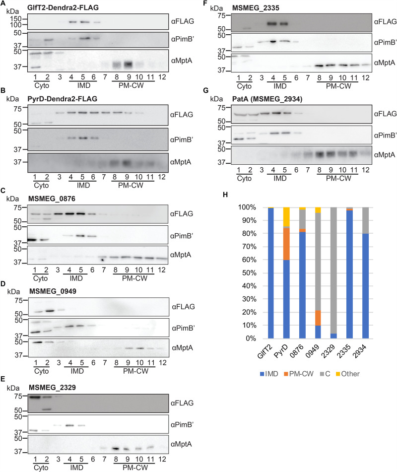 FIG 2