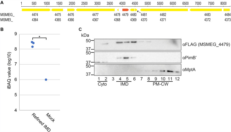 FIG 4