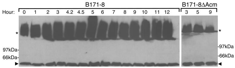 FIG. 6