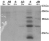 FIG. 8