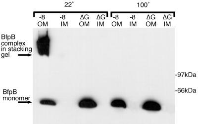 FIG. 5