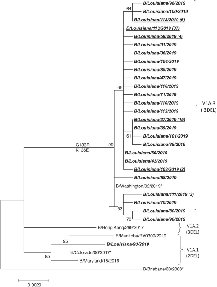 FIGURE 1