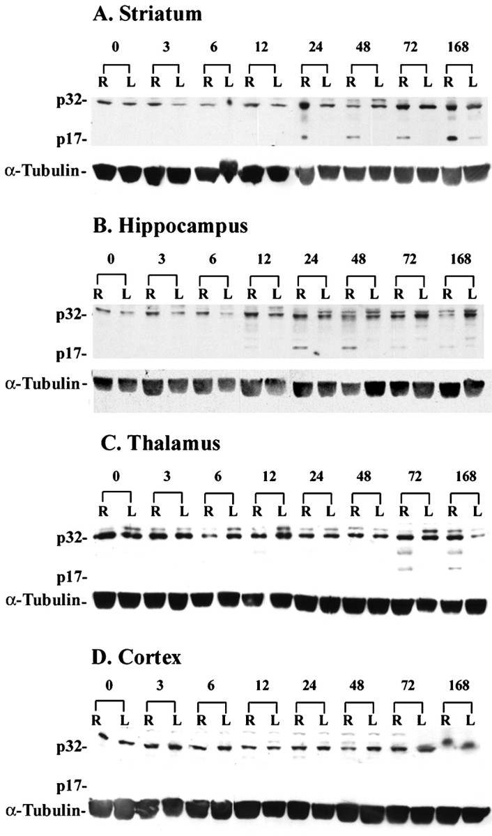 Fig. 11.