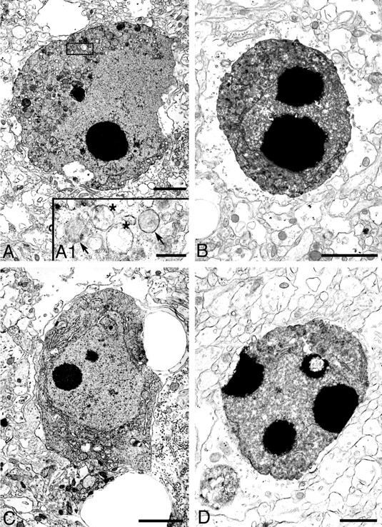 Fig. 8.