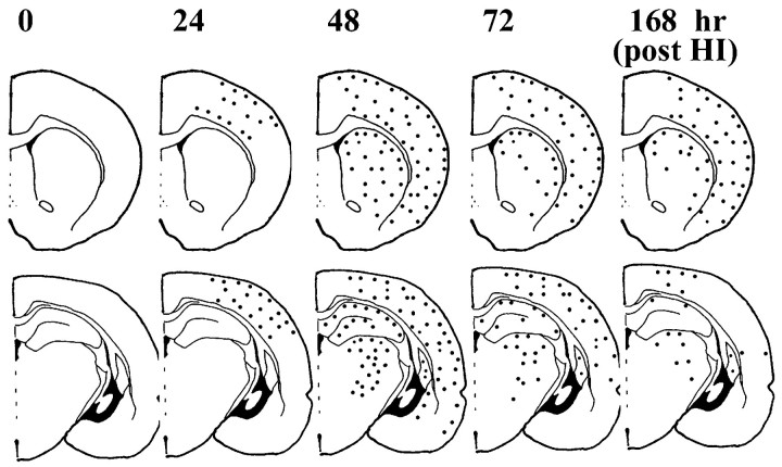 Fig. 10.