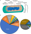 FIG 1