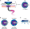 FIG 6