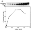 FIG. 6