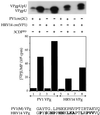 FIG. 8