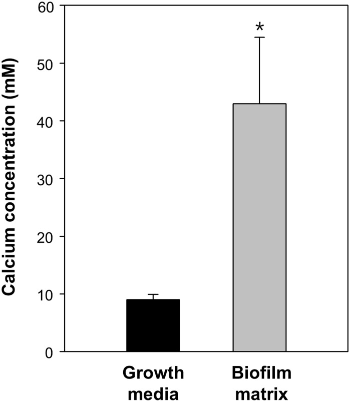 Fig 13