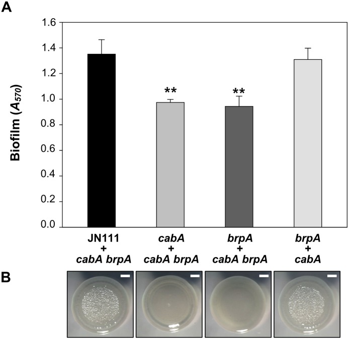 Fig 14