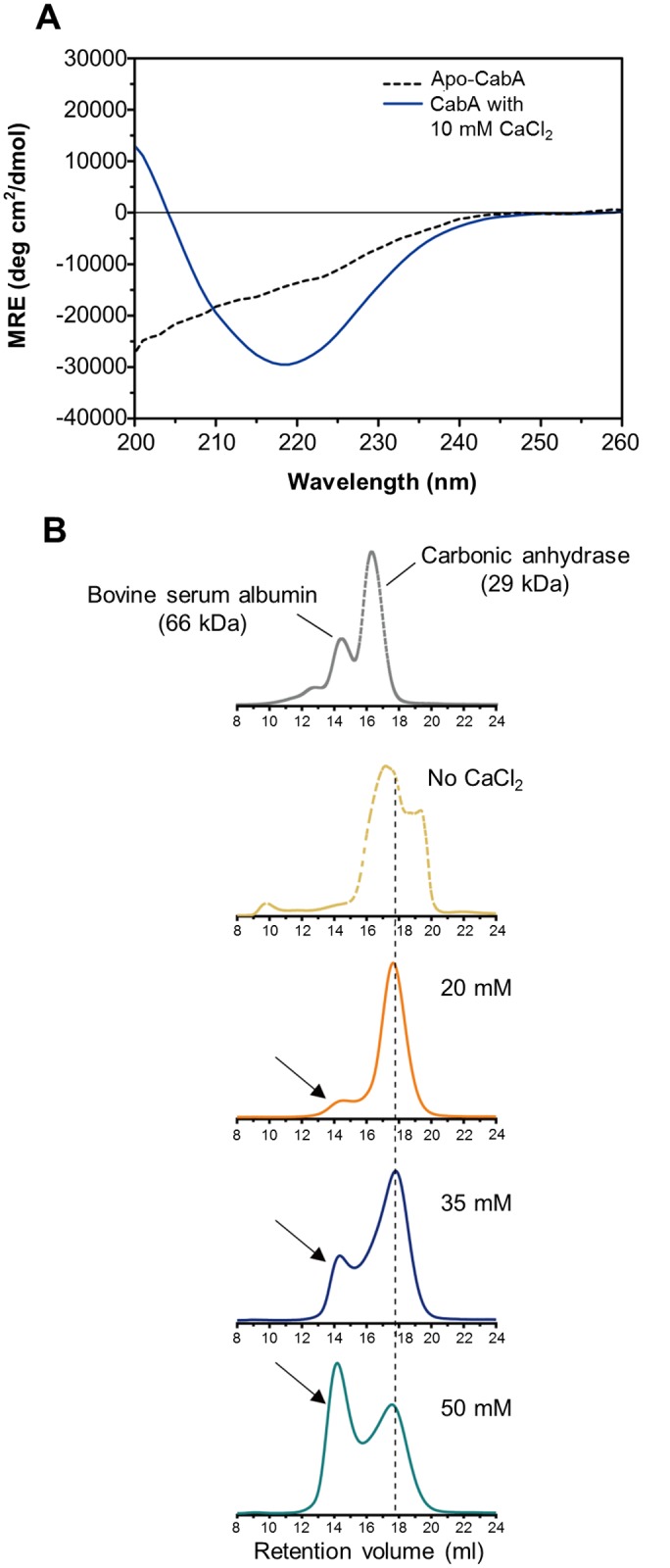 Fig 12