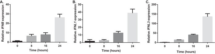 Fig. 10.