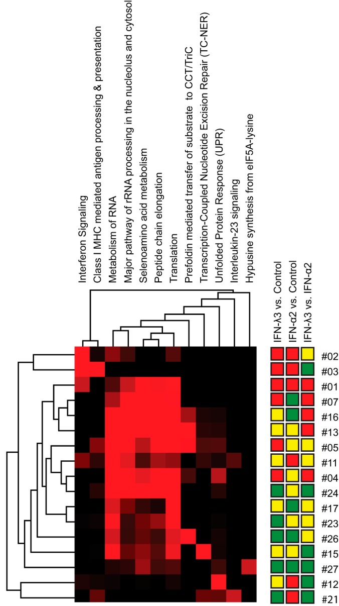 Fig. 13.