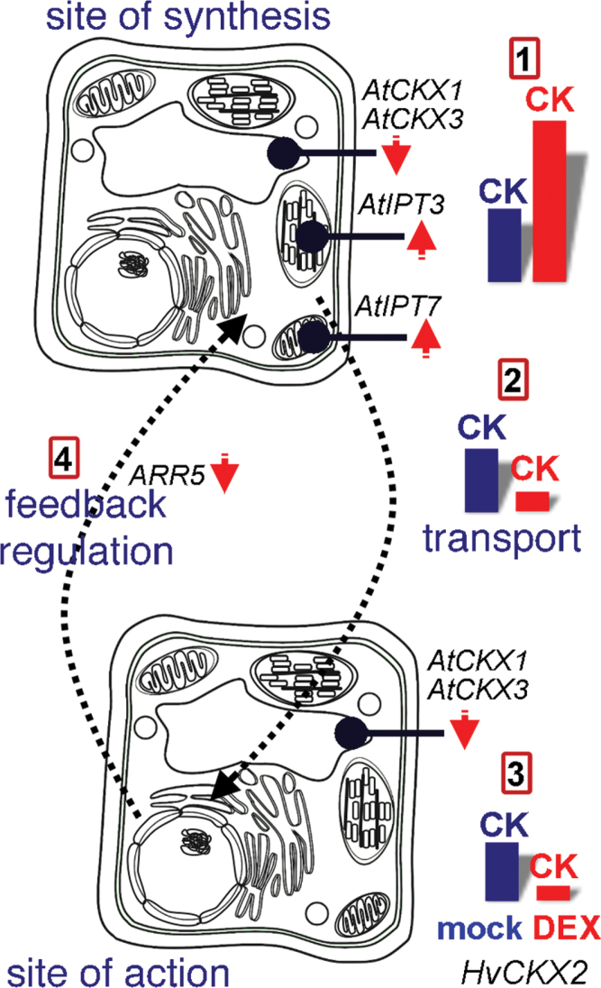 Fig. 5.