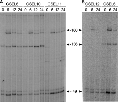 FIG. 5.