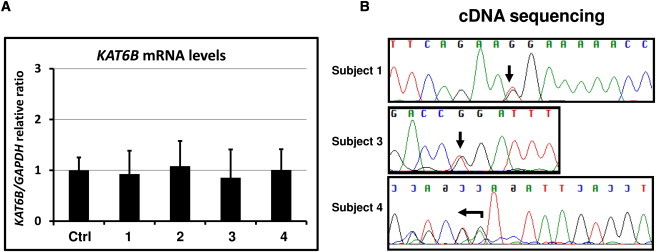 Figure 4