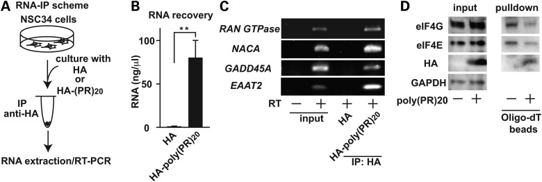 Figure 6.