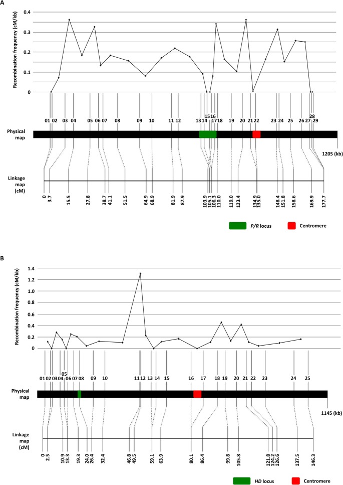 Fig 7