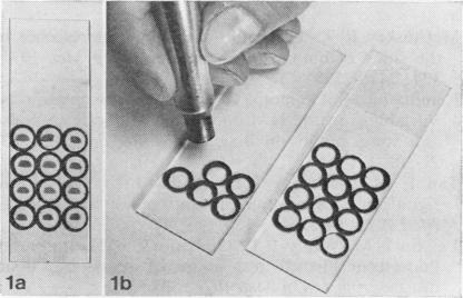 Fig. 1(a)