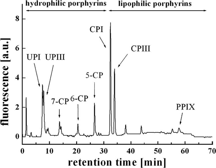 FIG. 2.