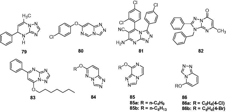 Figure 13.