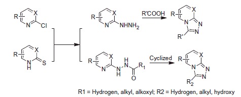 Scheme 4.