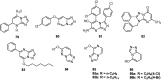 Figure 13.