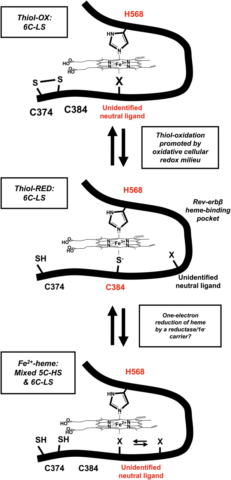 FIG. 5.