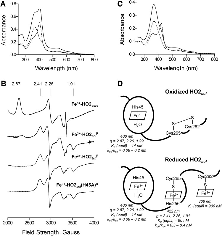 FIG. 6.