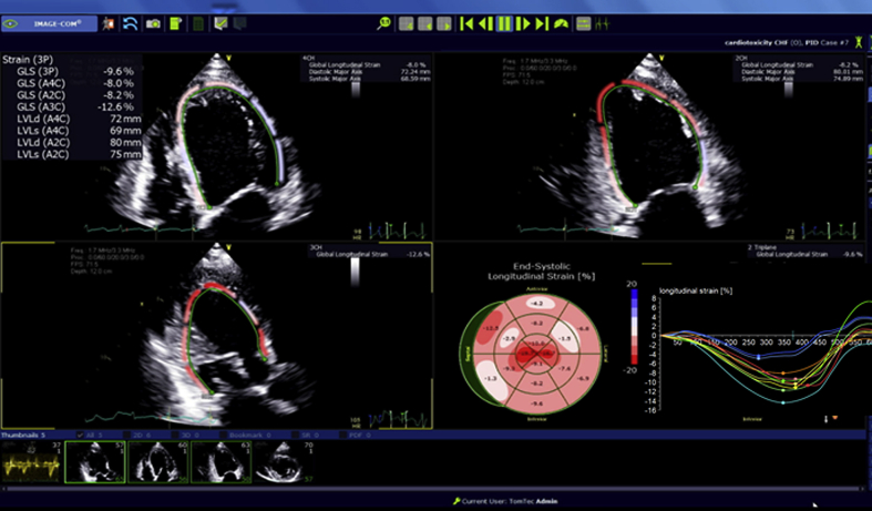 Figure 4