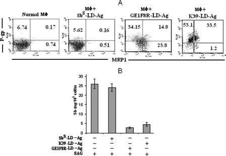 FIG. 8.