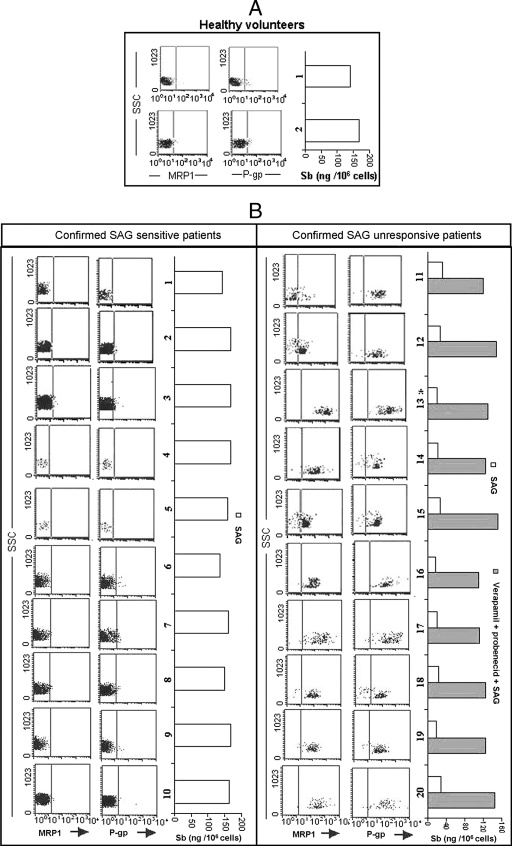 FIG. 6.