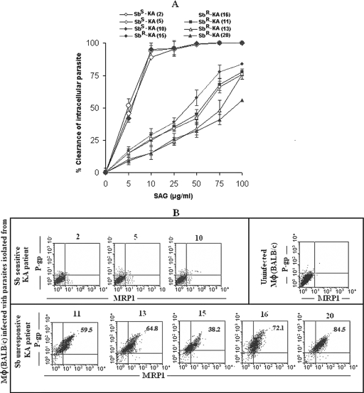 FIG. 7.