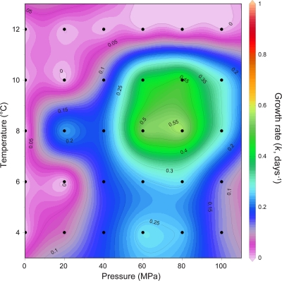 Fig. 3.