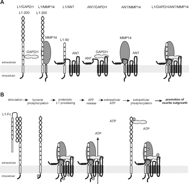 Figure 10.