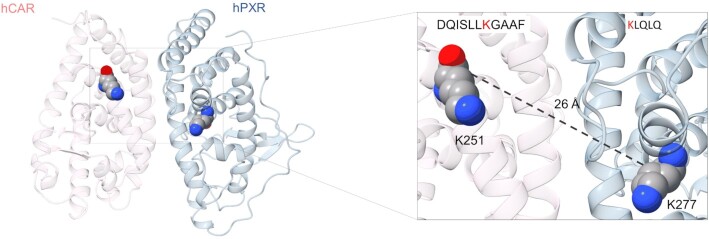 Figure 9.