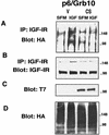 FIG. 6.